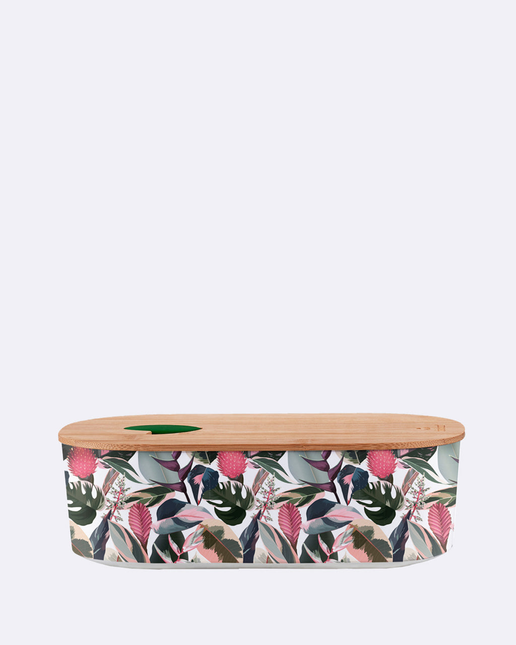 bioloco plant lunchbox oval tropical leaves