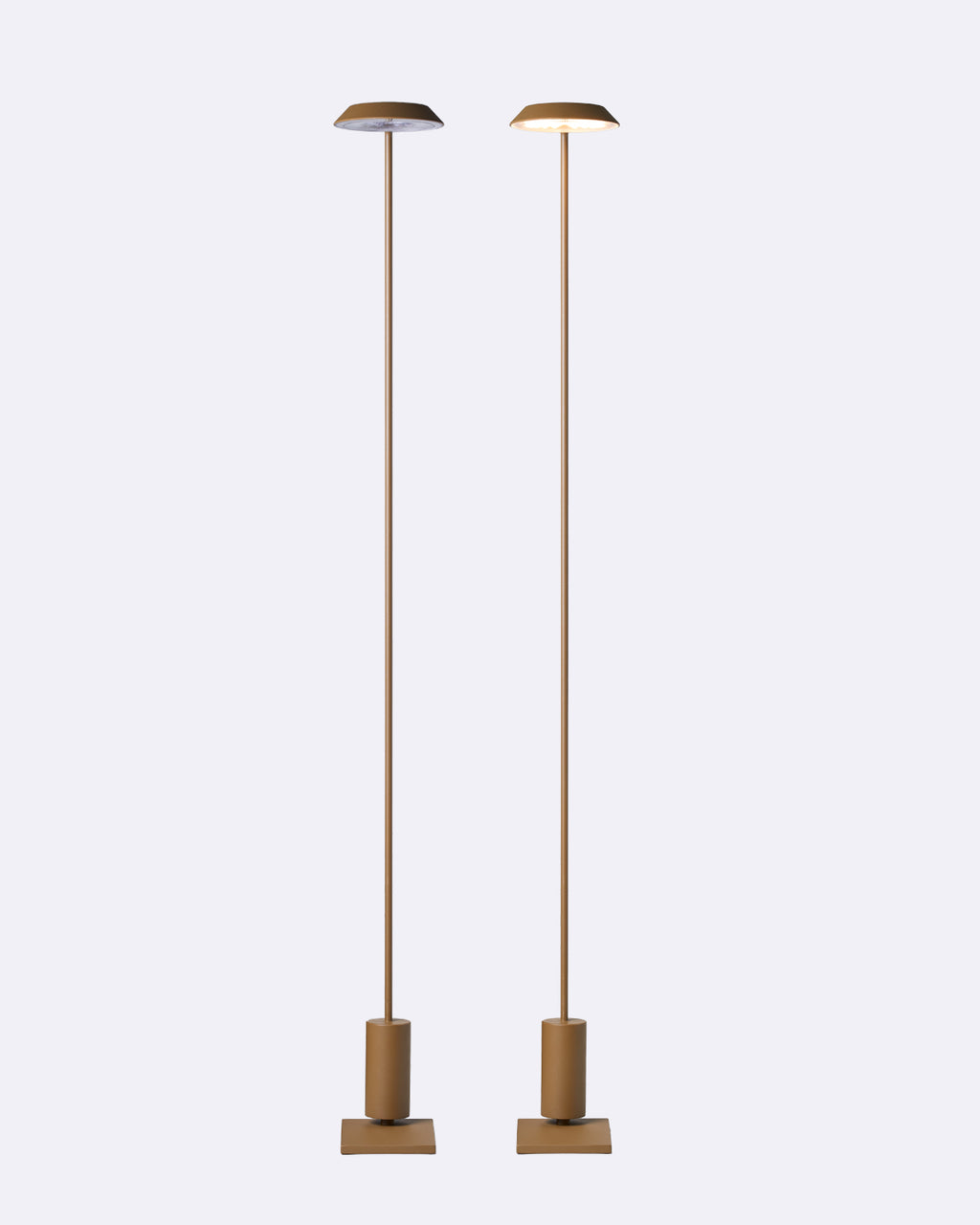 fortuna floor lamp - brushed gold