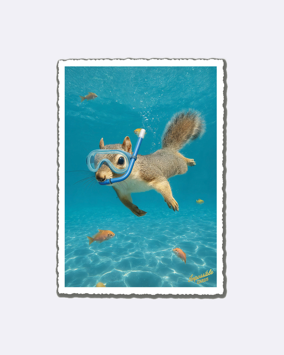 Postkarte mit tauchendem Eichhörnchen in blauem Wasser und Schriftzug "Impossible Cards"