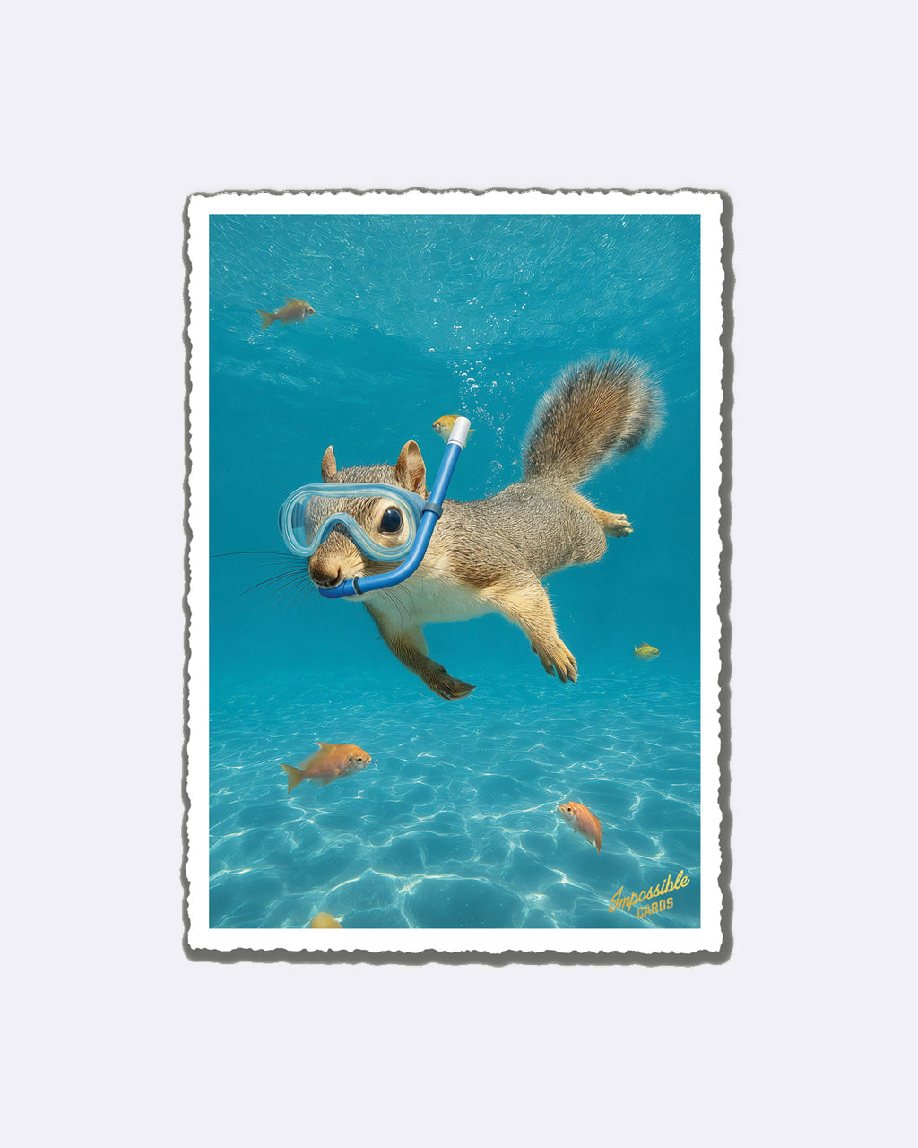 Impossible Card Postkarte - diving squirrel