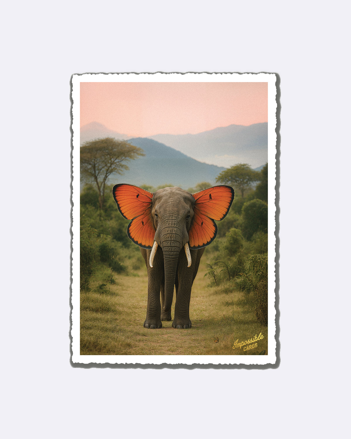 Postkarte mit Elefant und Schmetterlingsflügeln in Orange und Schriftzug "Impossible Cards"