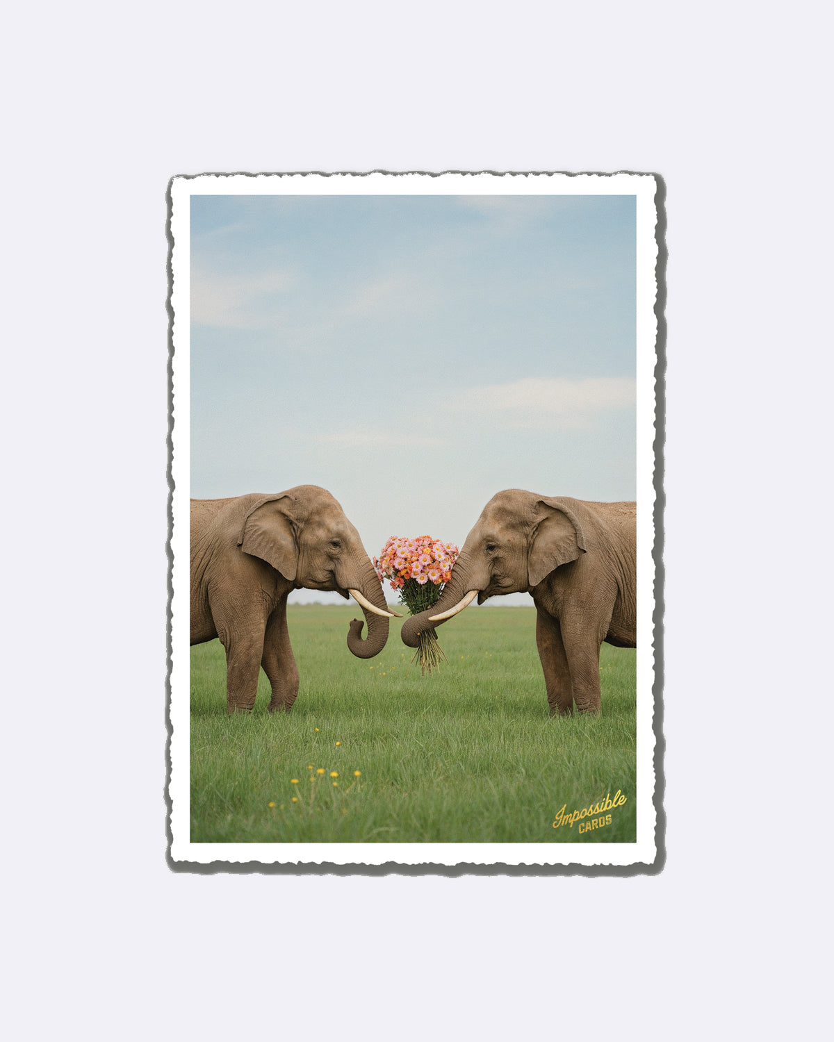 Postkarte mit Elefanten und Blumenstrauß im Grünen mit Schriftzug "Impossible Cards"