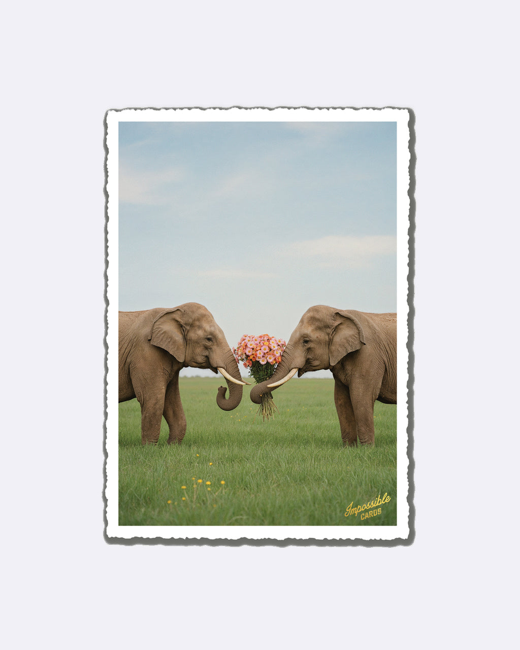 Mini cartes postales - Personne préférée