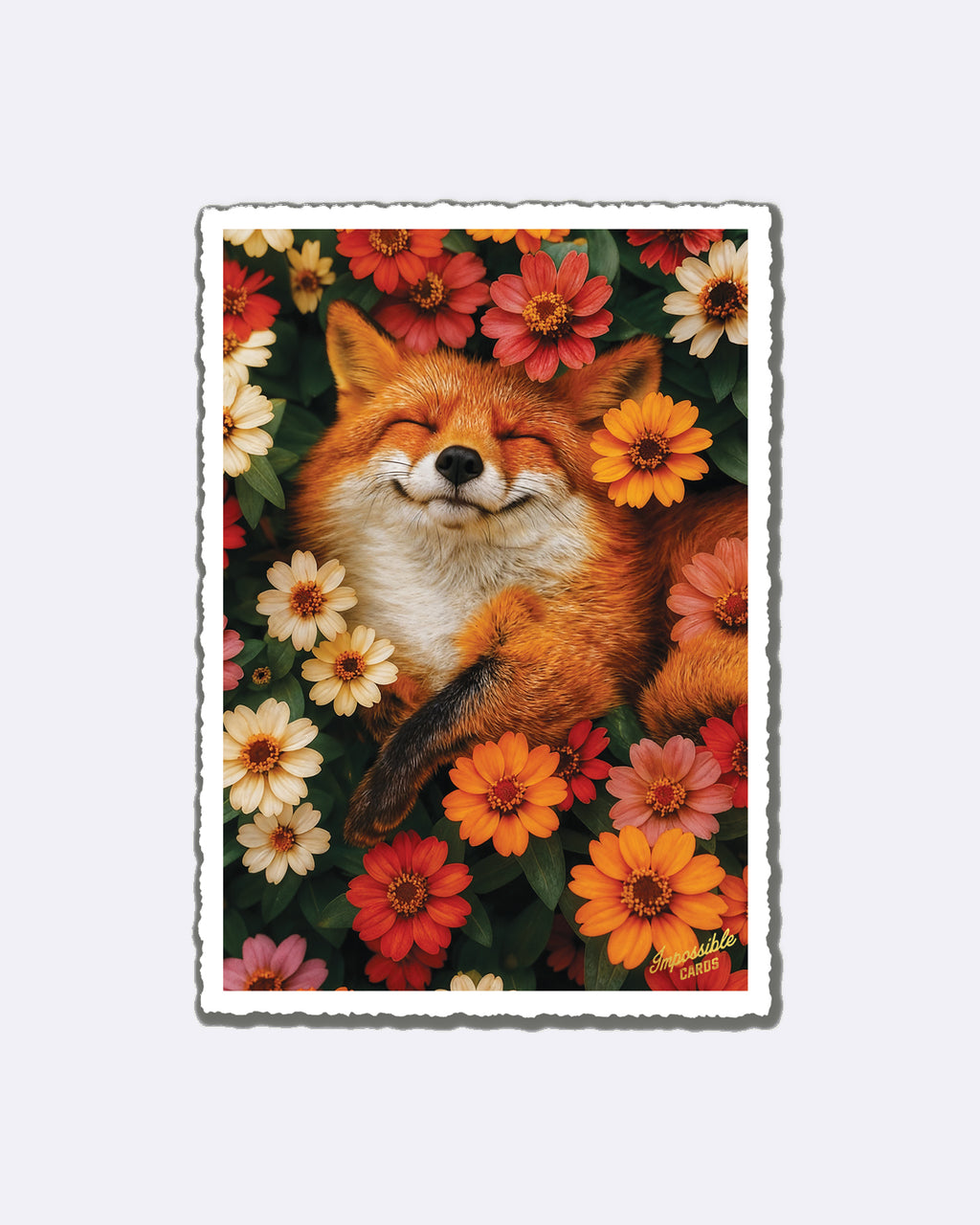 Mini cartes postales - Personne préférée