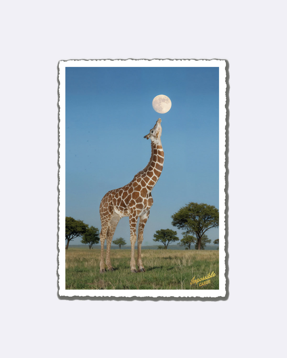 Postkarte mit Giraffe unter Vollmond auf Wiese mit Schriftzug "Impossible Cards"