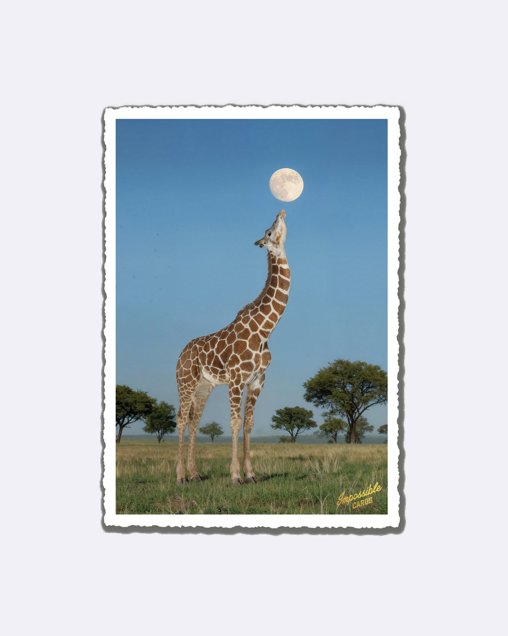 Mini cartes postales - Personne préférée
