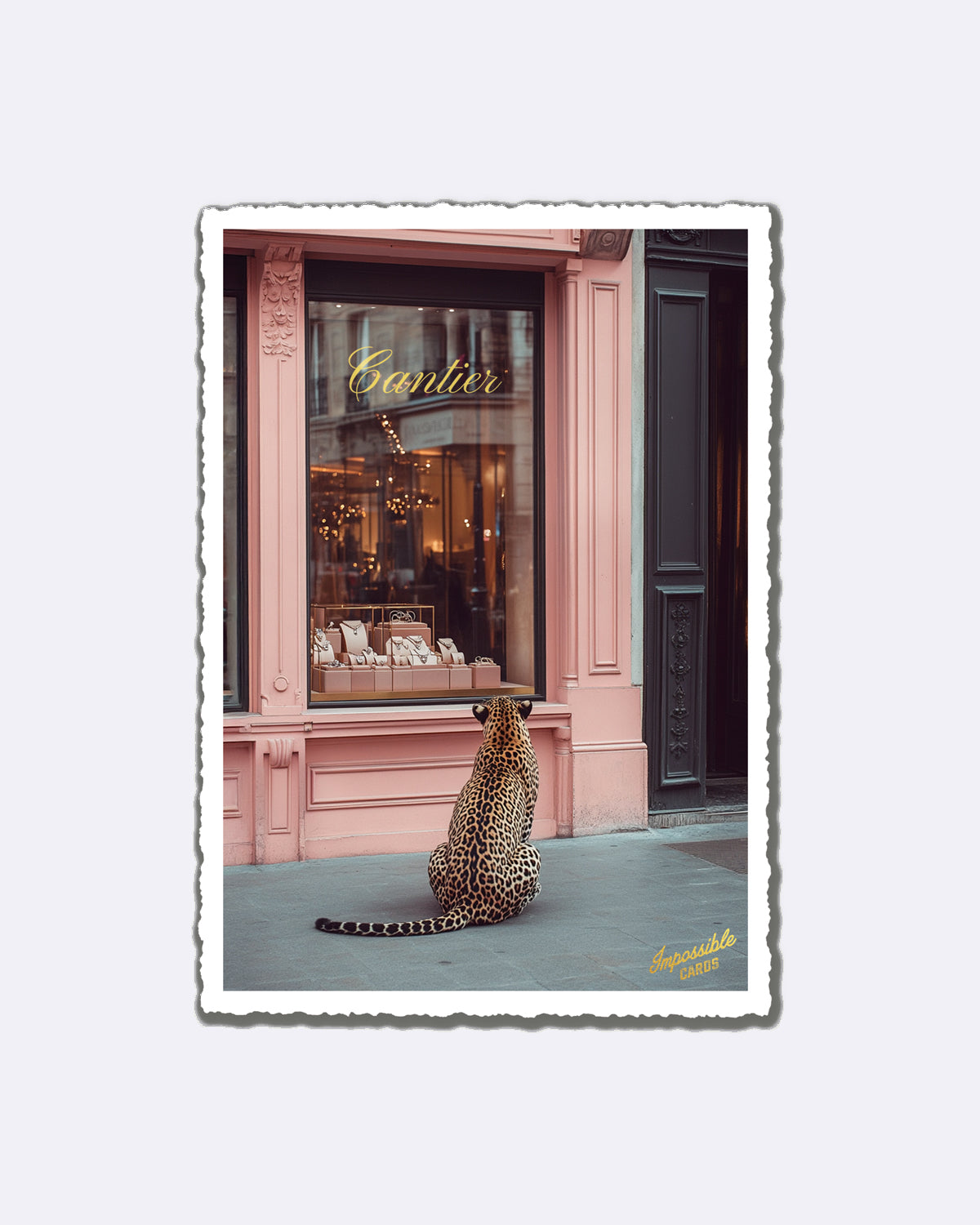 Postkarte mit sitzendem Leoparden vor rosa Geschäft mit Schriftzug "Cantier"
