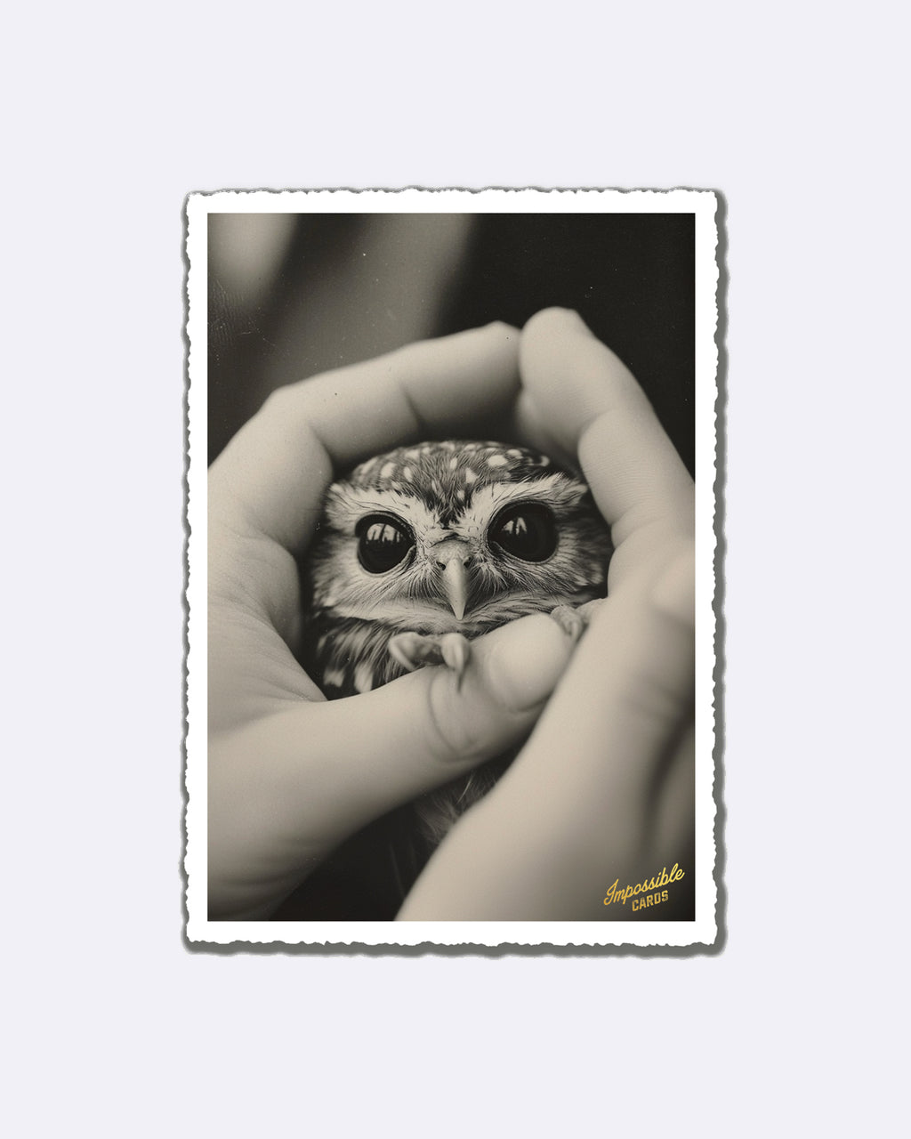 Mini Postcards - Favorite Person