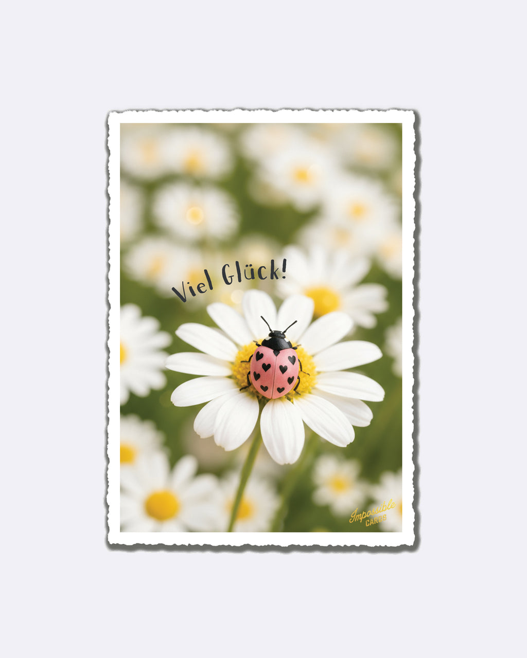 Mini cartes postales - Personne préférée