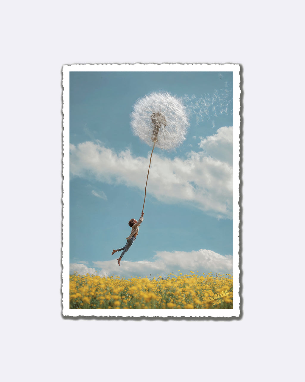 Impossible Card Postkarte - dandelion