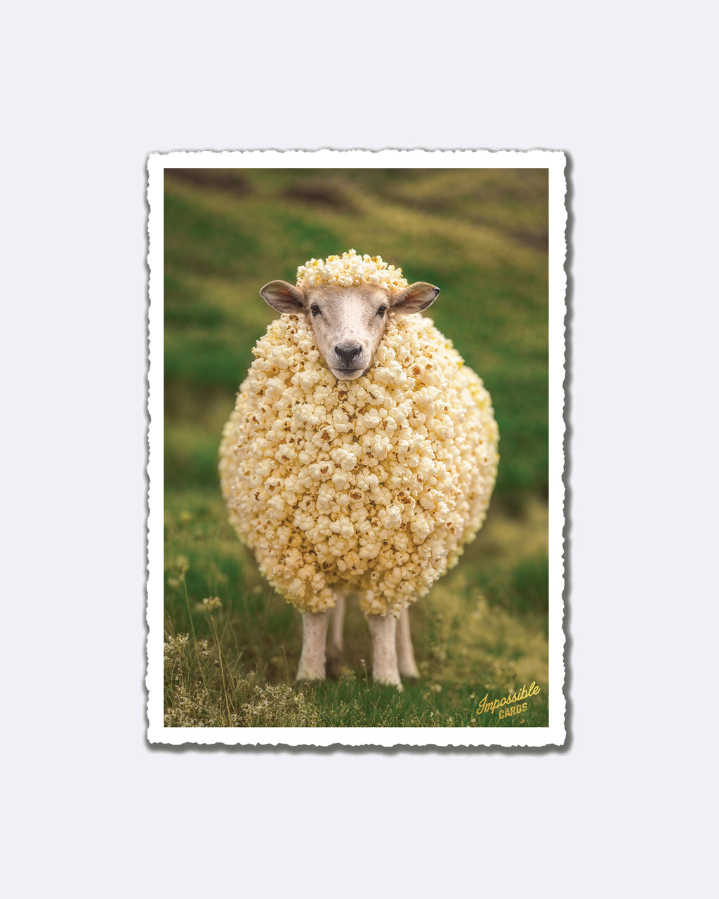 Impossible Card Postkarte - Popcorn sheep