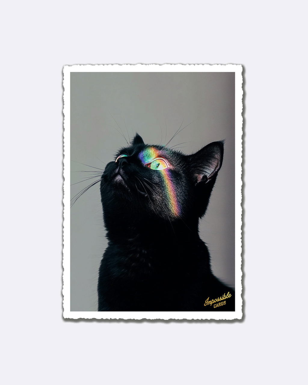 Impossible Card Postkarte - rainbow cat