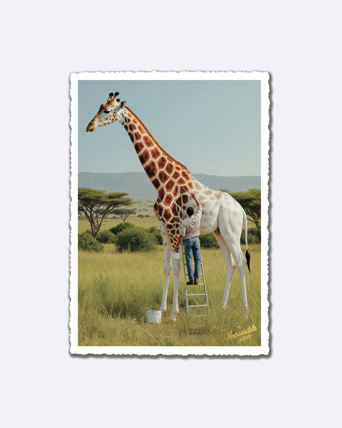 Postkarte mit Giraffenmalerei in Graslandschaft und Schriftzug "Impossible Cards"