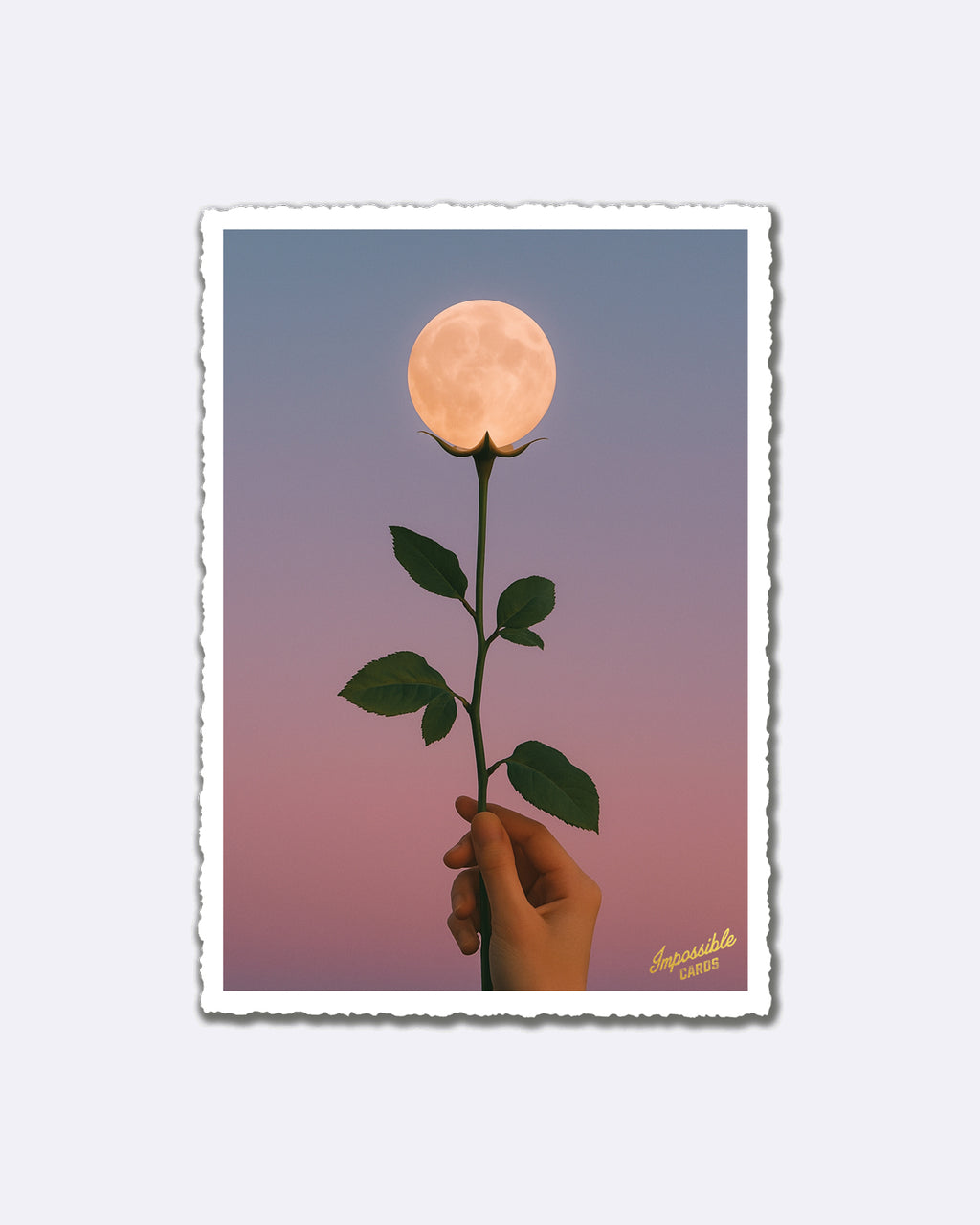 Impossible Card Postkarte - moon rose