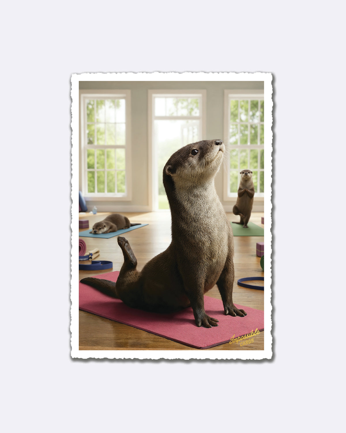Postkarte mit Ottern auf Yogamatten in einem Raum mit Schriftzug "Impossible Cards"