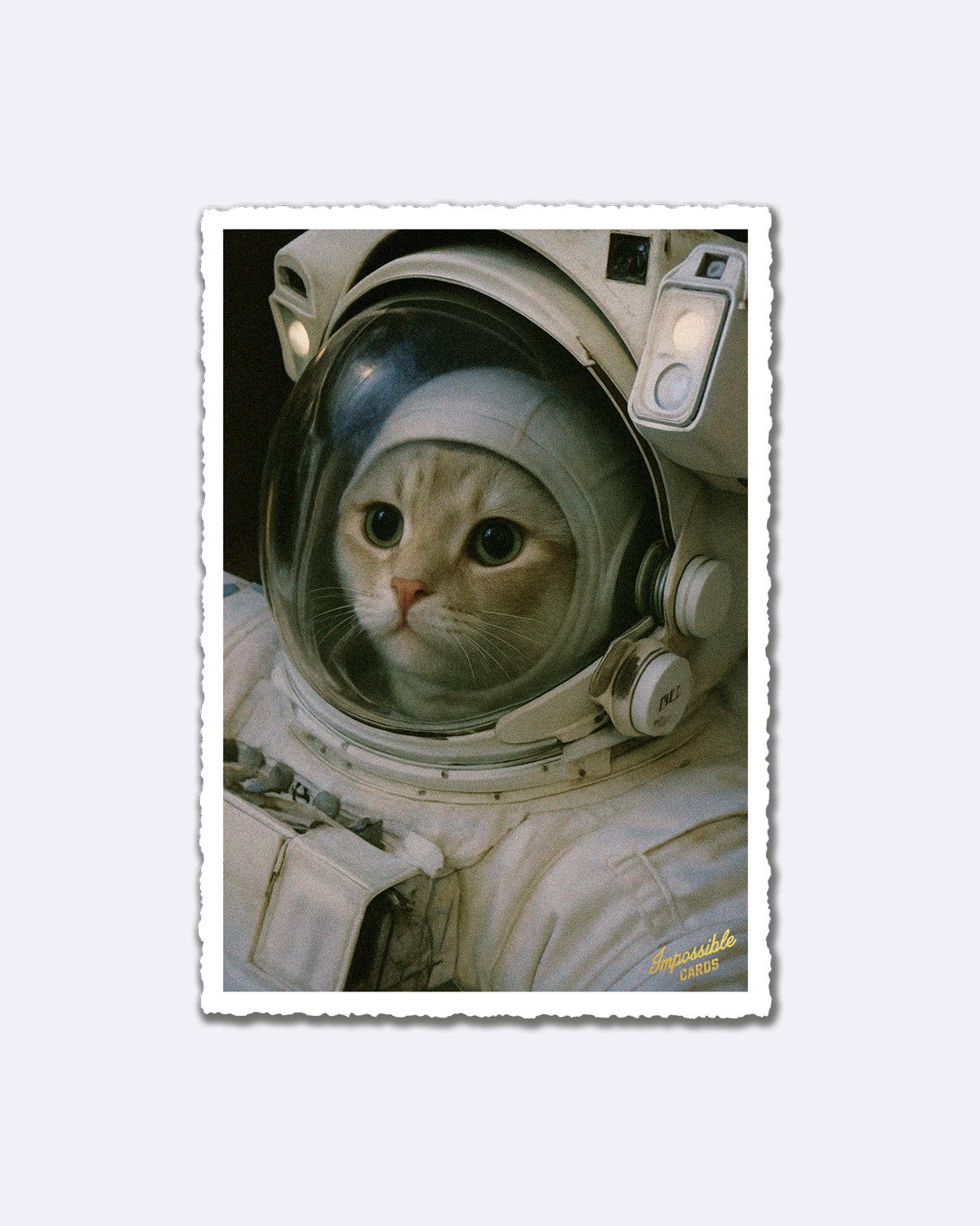 Postkarte mit Katze im Raumanzug und Schriftzug "Impossible Cards"