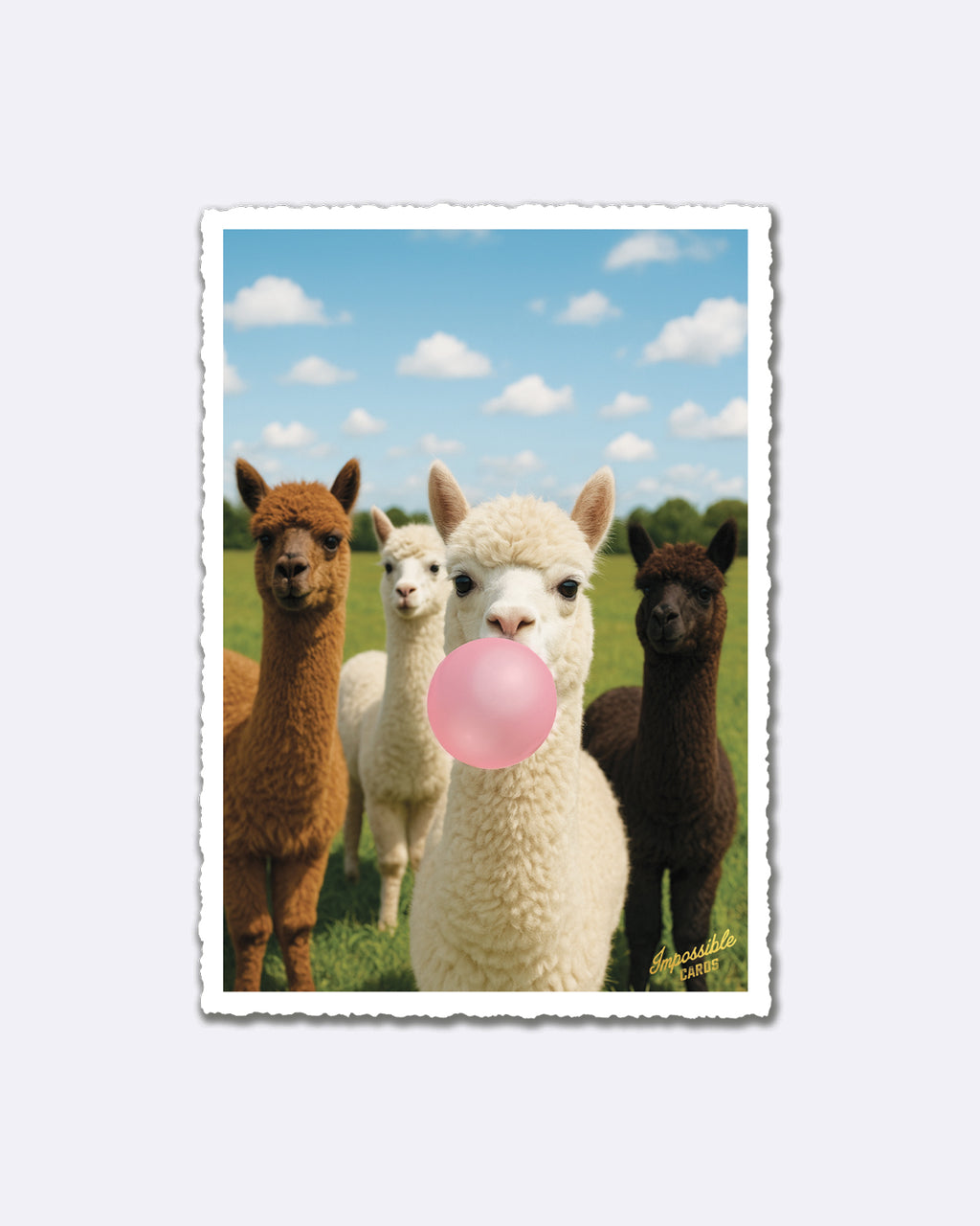 Impossible Card Postkarte - Alpaka