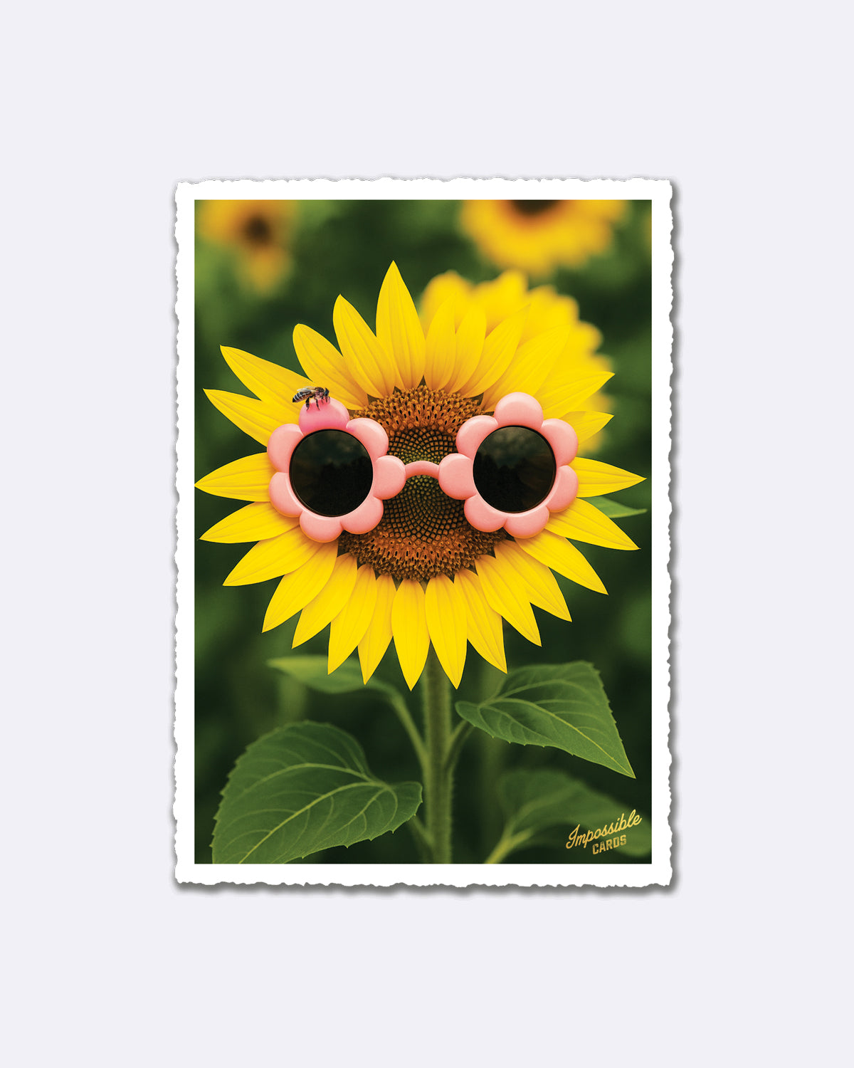 Postkarte mit Sonnenblume und rosa Blüten-Sonnenbrille, Schriftzug "Impossible Cards"