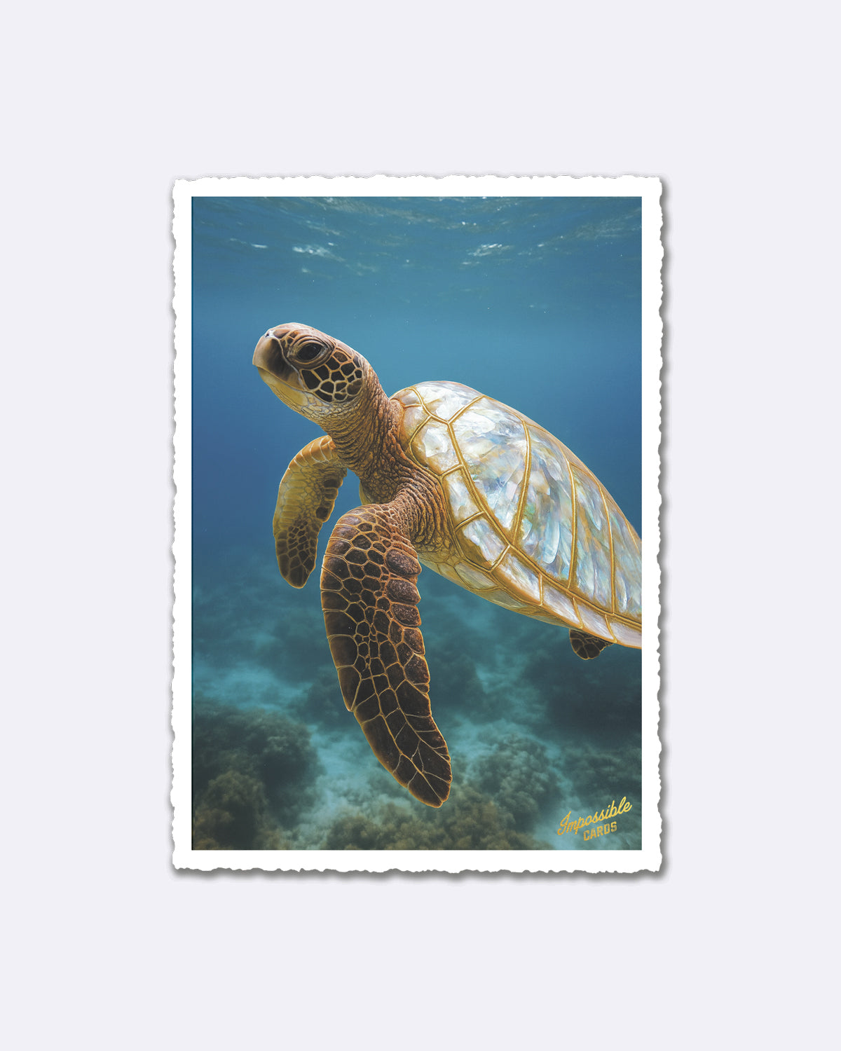 Postkarte mit Meeresschildkröte in blauem Wasser und Schriftzug "Impossible Cards"