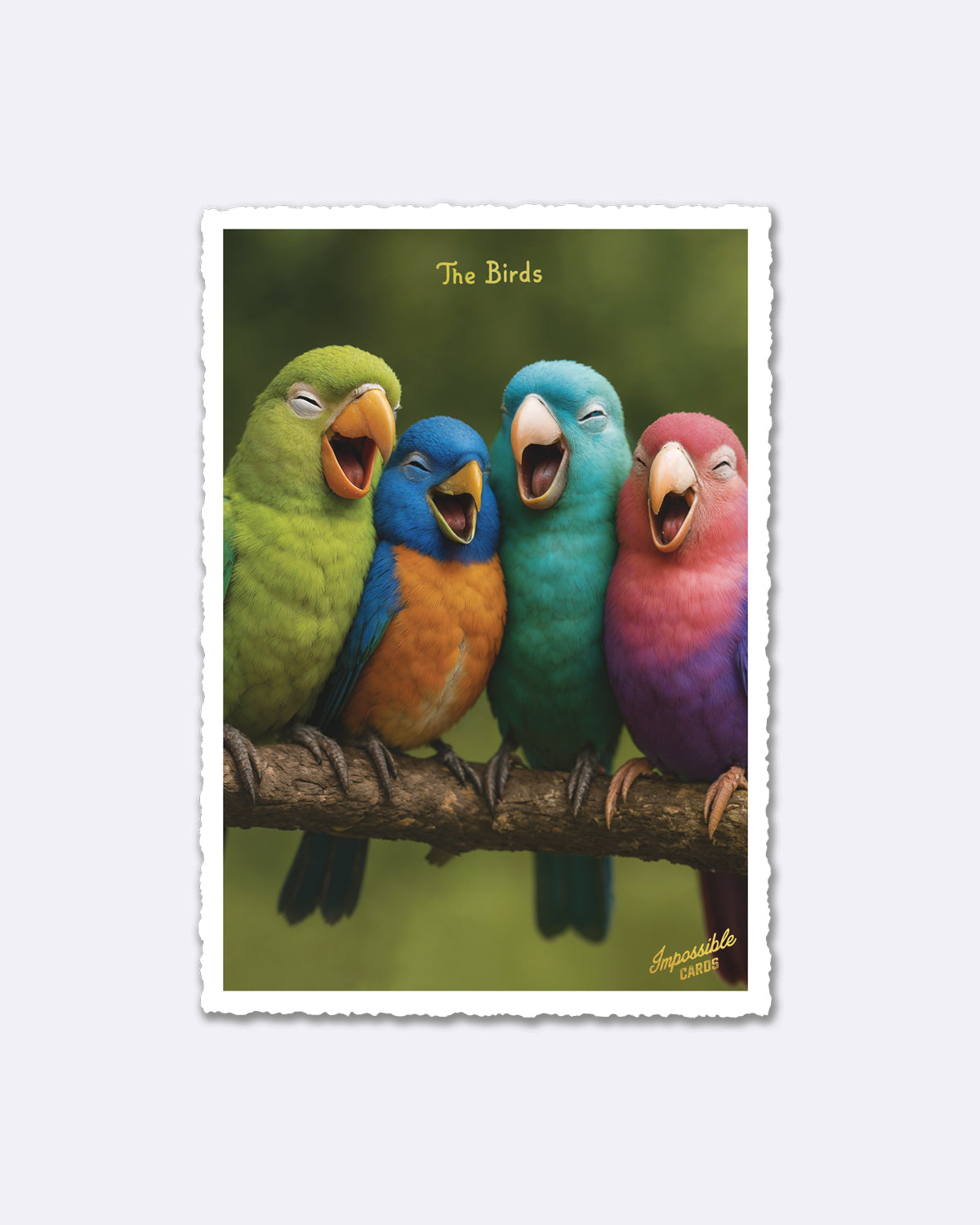 Postkarte mit bunten Vögeln in Grün, Blau, Orange, Türkis, Pink und Schriftzug "The Birds"