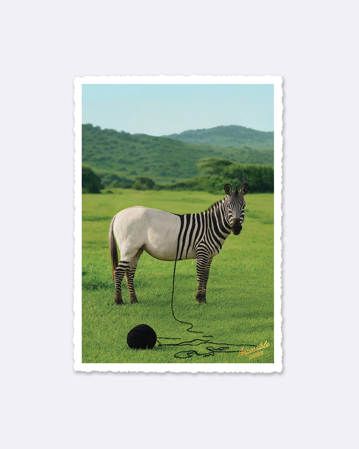 Postkarte Zebra mit Wollknäuel auf grüner Wiese und Schriftzug "impossible cards"