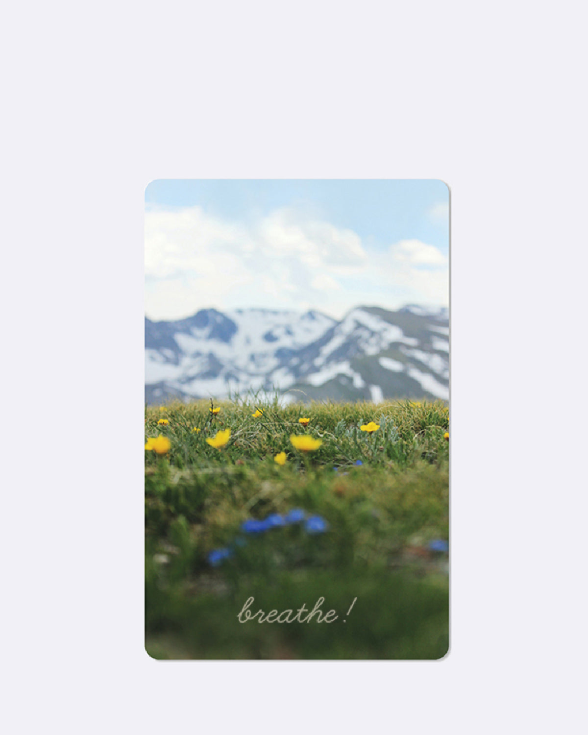 Postkarte mit Berglandschaft und gelben Blumen mit Schriftzug "breathe"