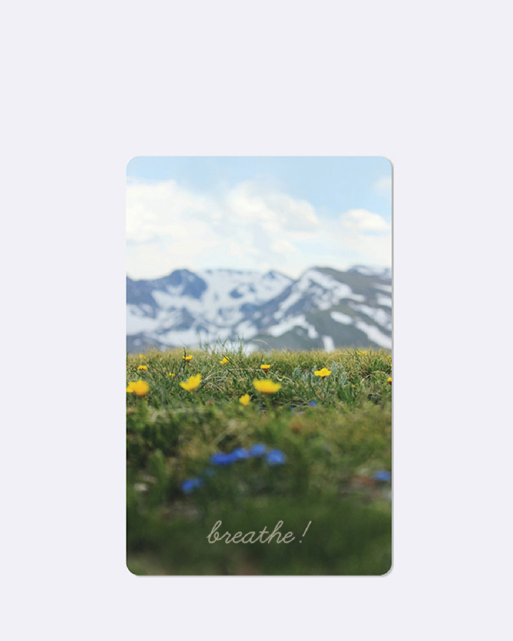 Mini cartes postales - Alm