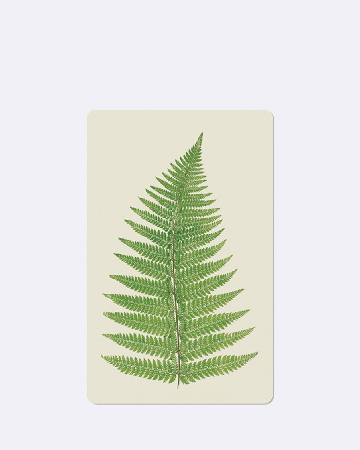 Mini Postkarte mit grünem Farnmotiv auf beigem Hintergrund