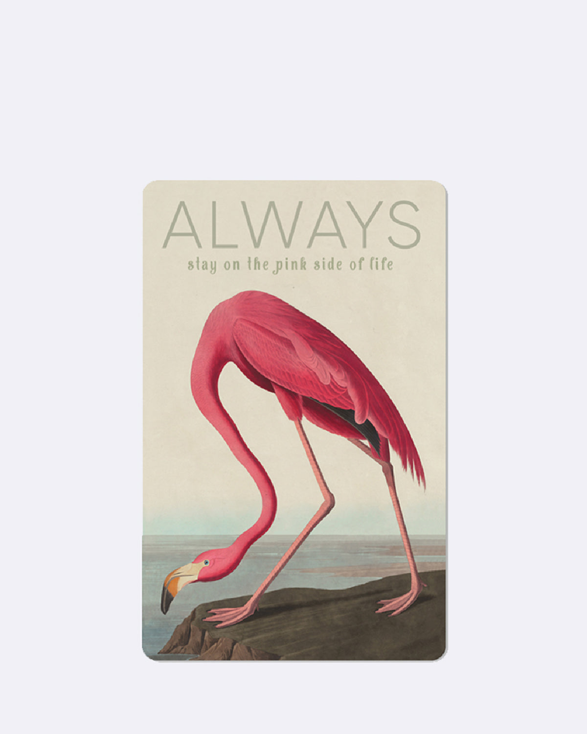 Mini Postkarte mit rotem Flamingo vor Küstenhintergrund und Schriftzug "ALWAYS stay on the pink side of life"
