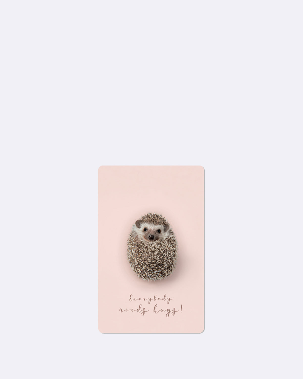 Mini Postkarte mit jungem Igel auf rosa Hintergrund und Schriftzug "Everybody needs hugs"