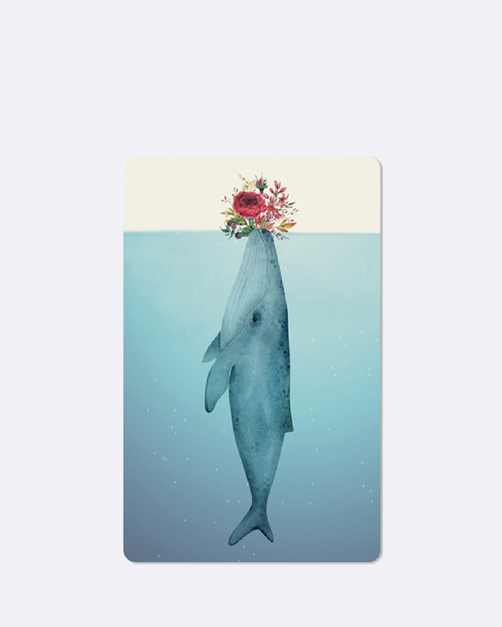 Mini Postcards - Whale