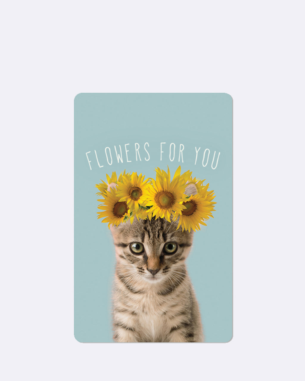 Mini Postkarten - Sunflower cat