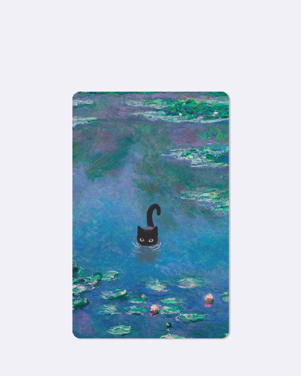 Postkarte mit abgebildeter Katze welche in einem Fluss schwimmt