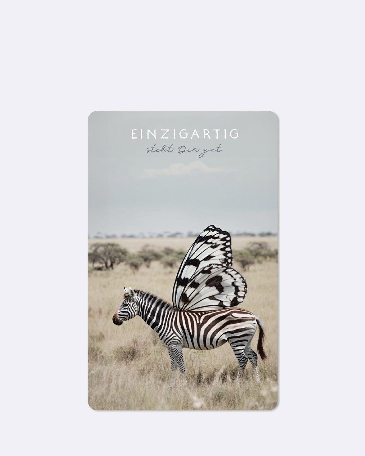 Postkarte mit abgebildetem Zebra in der Prärie