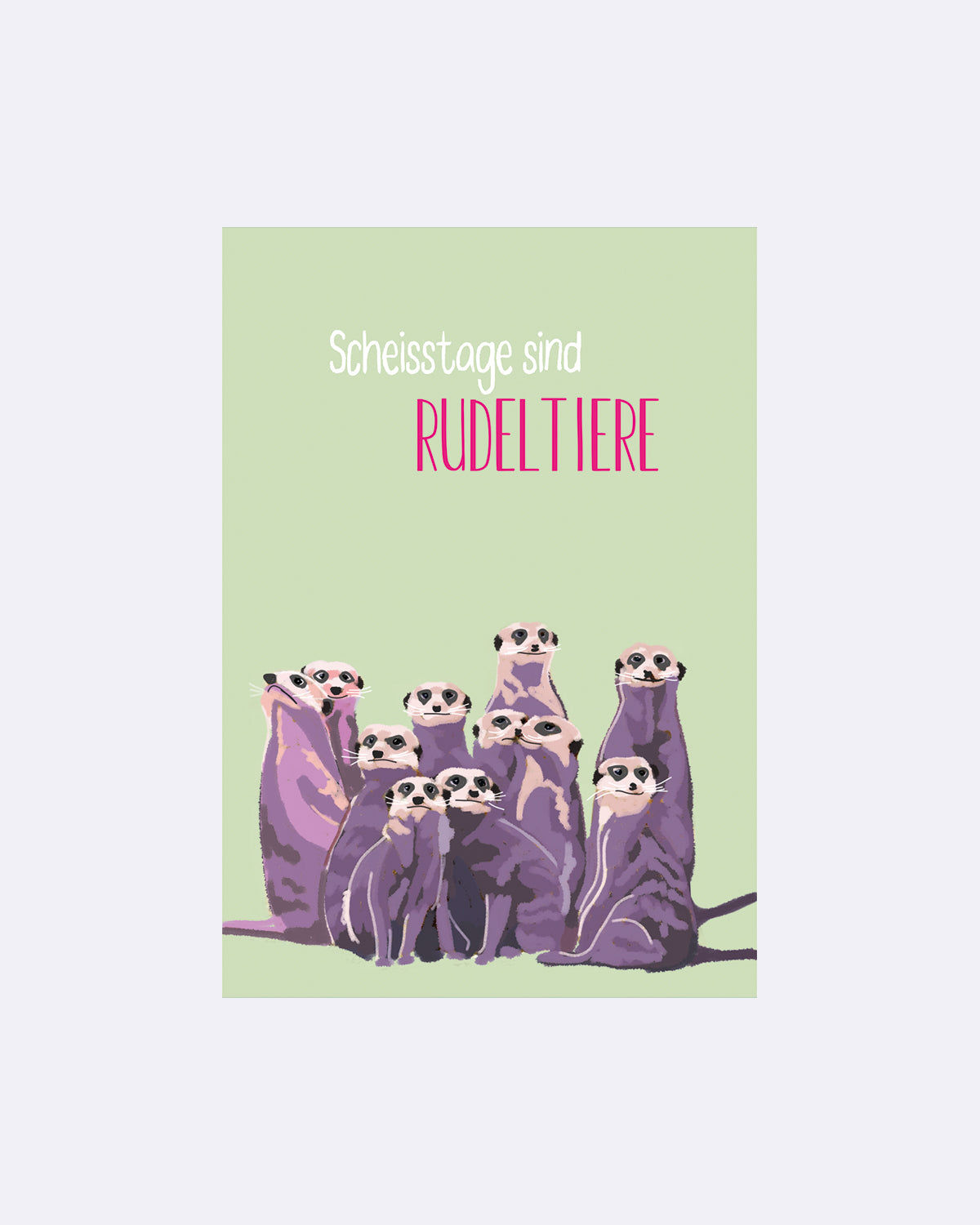 Postkarte mit Erdmännchen-Illustration auf hellgrünem Hintergrund und Schriftzug "Scheisstage sind Rudeltiere"