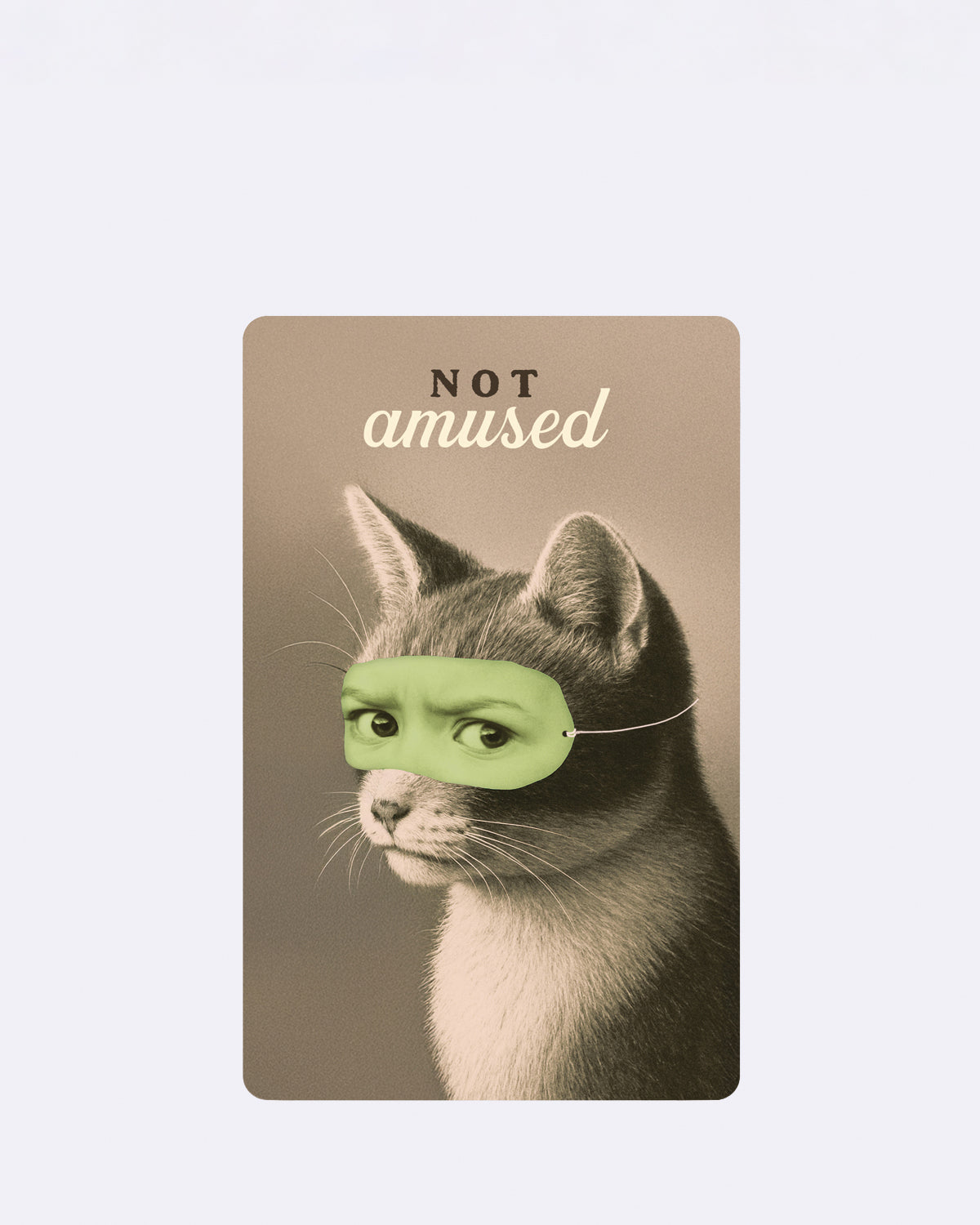 Mini Postkarte mit schwarz-weißer Katze und grüner Maske mit Schriftzug "NOT amused"