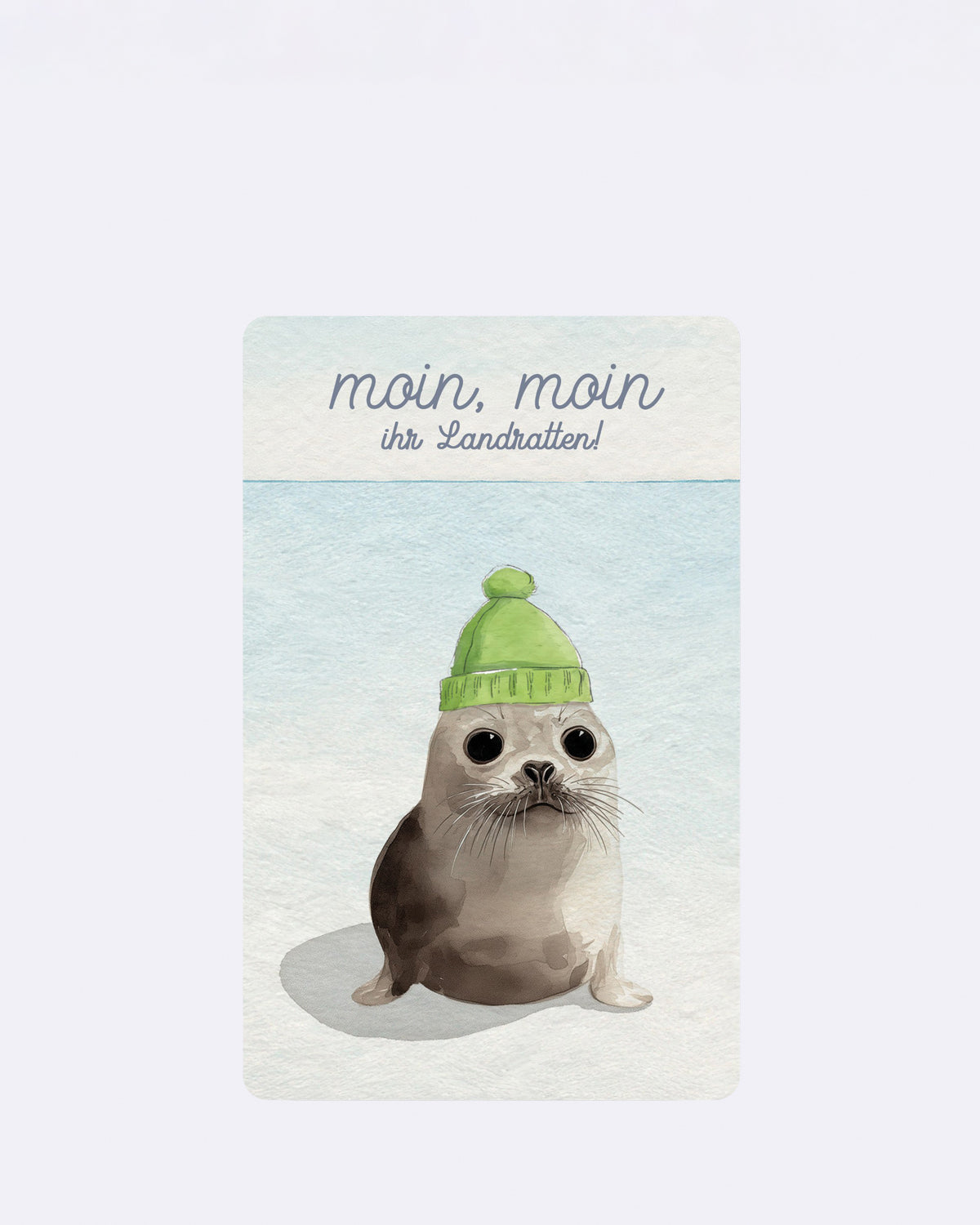 Postkarte mit Robbe in grüner Mütze und Schriftzug "moin", moin ihr Landratten